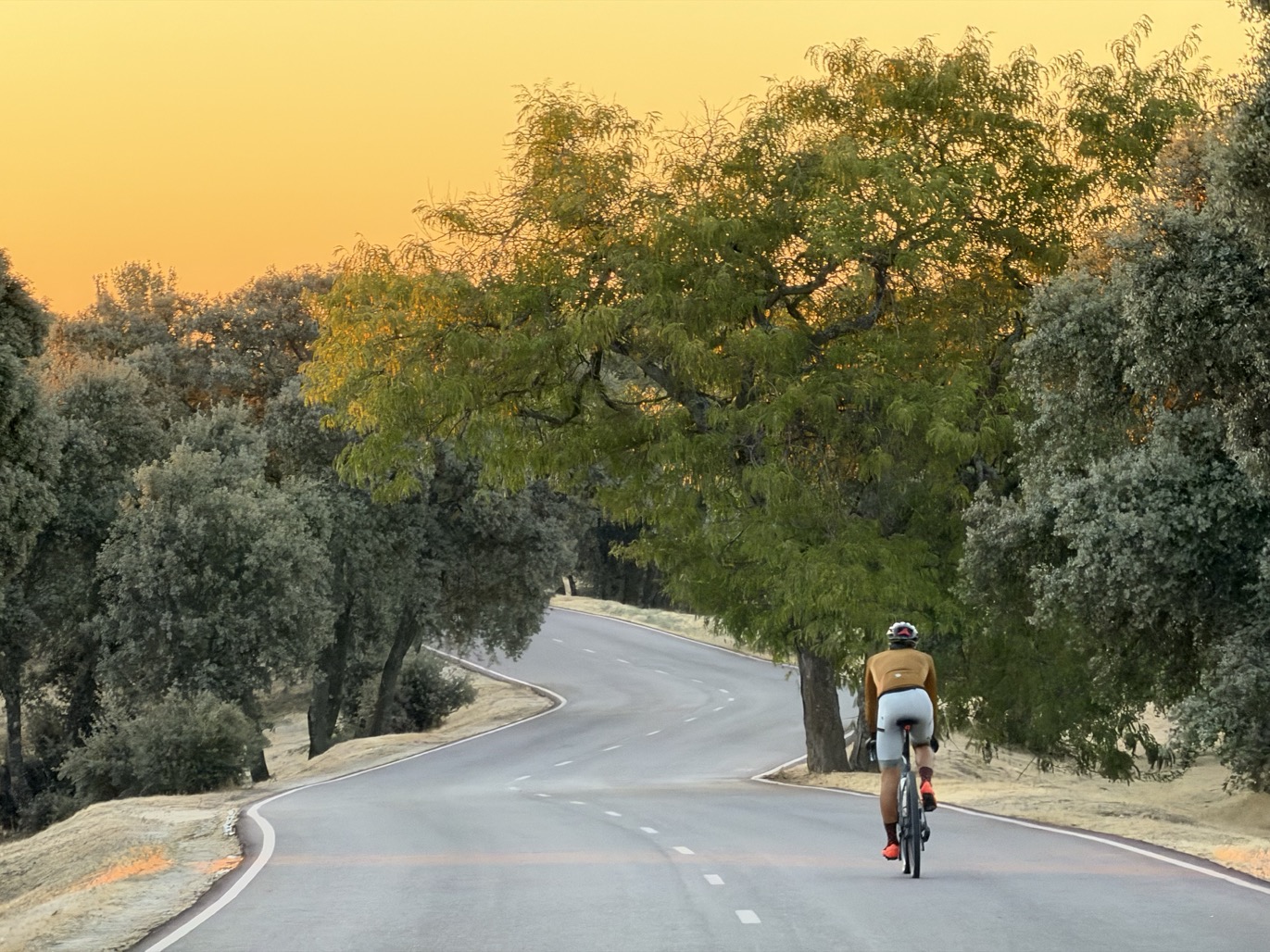 A road cyclist in full kit rides away down a winding, tree-lined park road at sunrise beneath a warm golden sky.