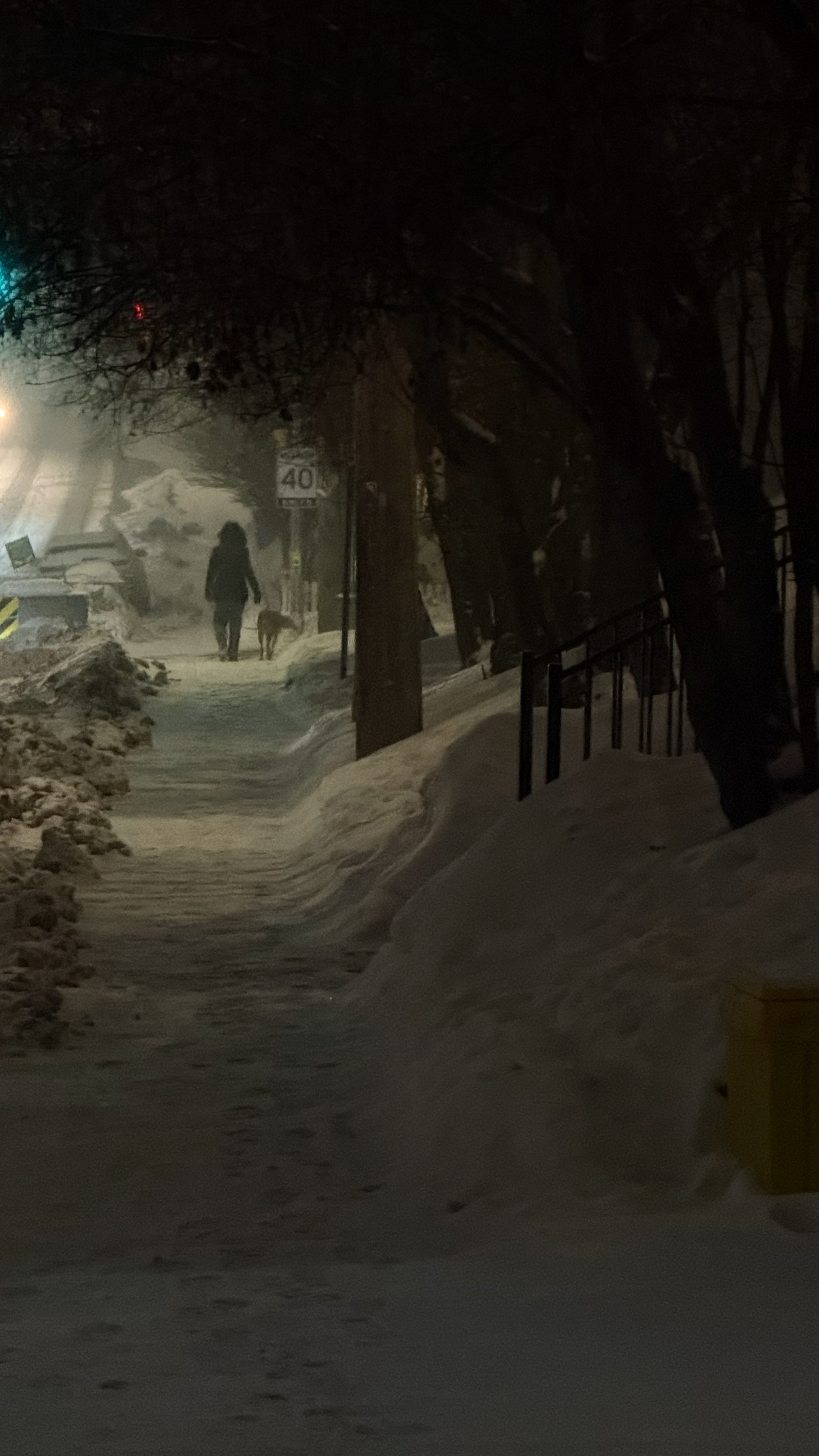 A person walking a dog on a snow-covered street at night under a streetlight.