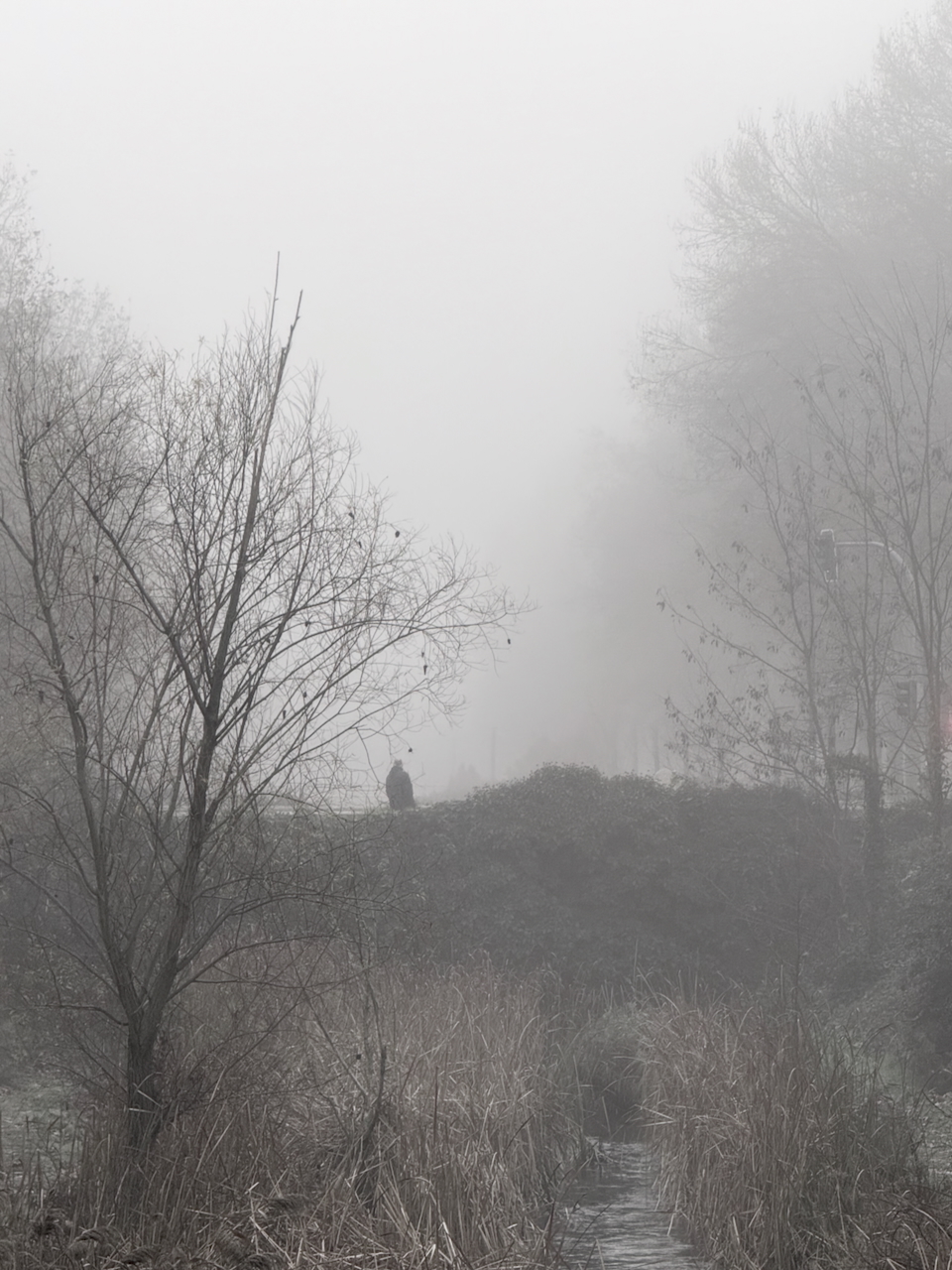 Esgueva River, Valladolid, Castile