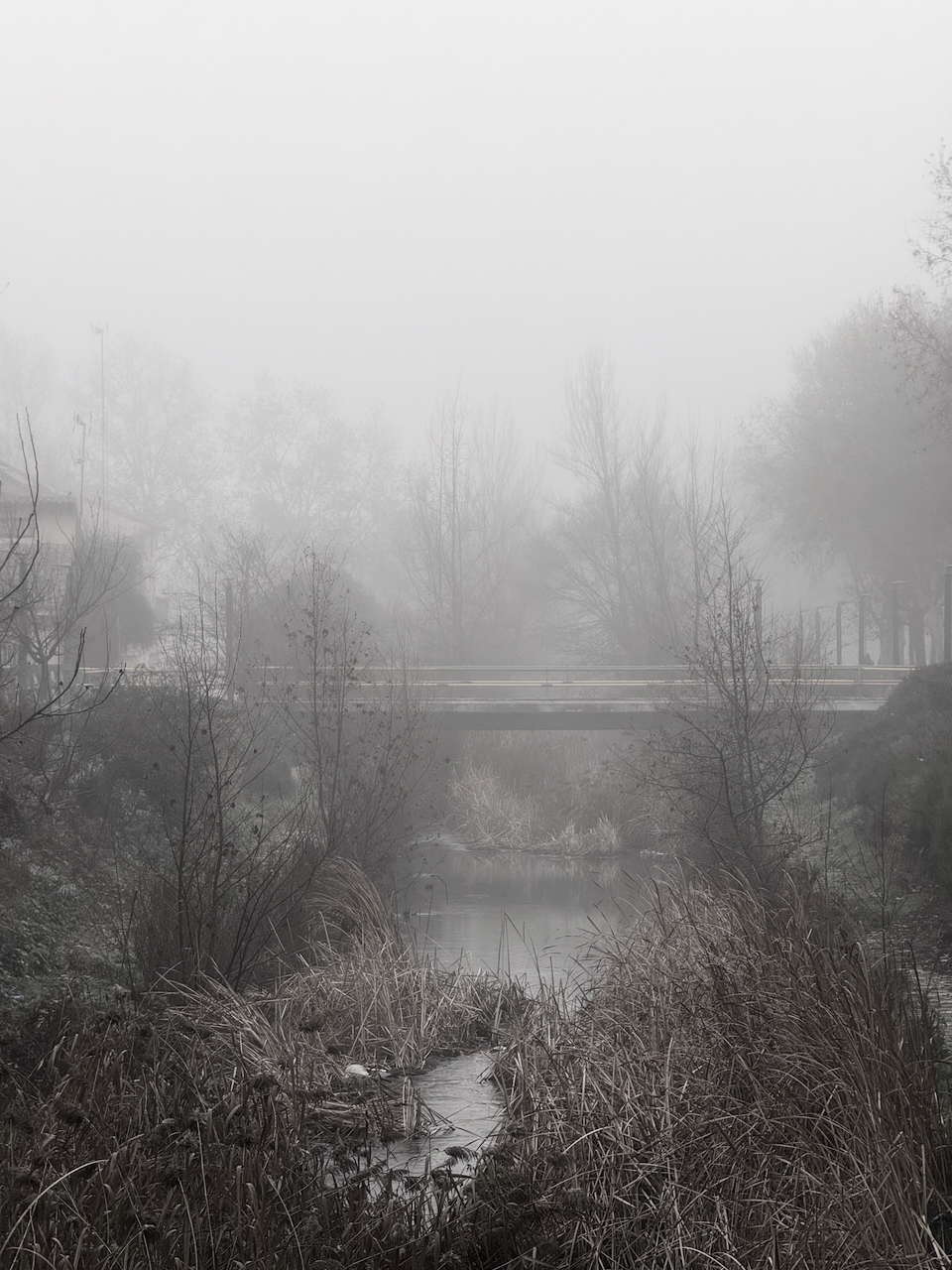 Esgueva River, Valladolid, Castile