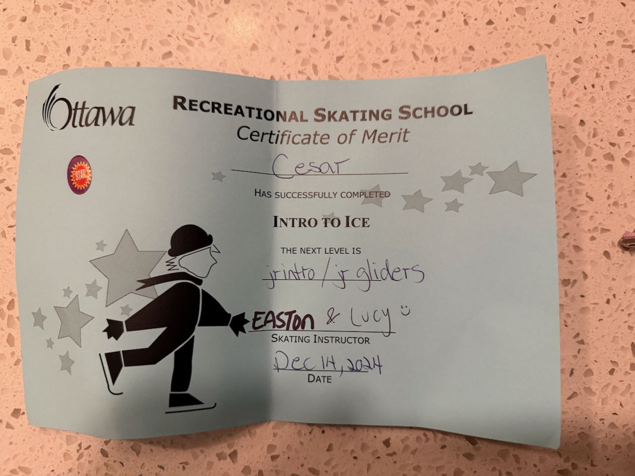 Ice Skating Report Card