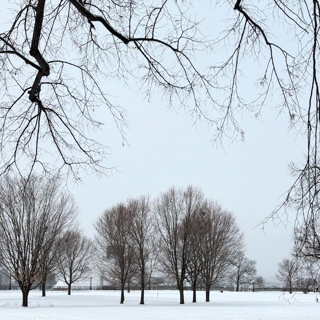 Major’s Hill Park, Ottawa. Central lawn
