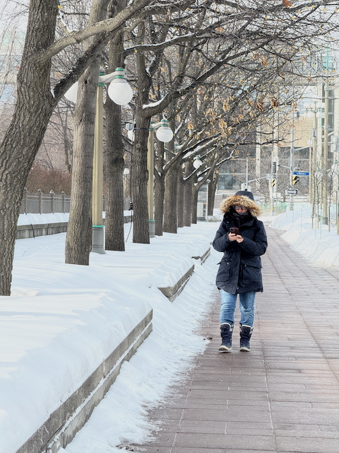 Mackenzie Avenue, Ottawa.