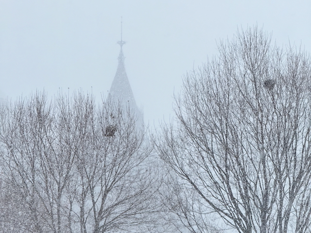 Parliament of Canada
