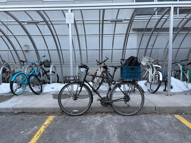 Otto with some neighbours in the background