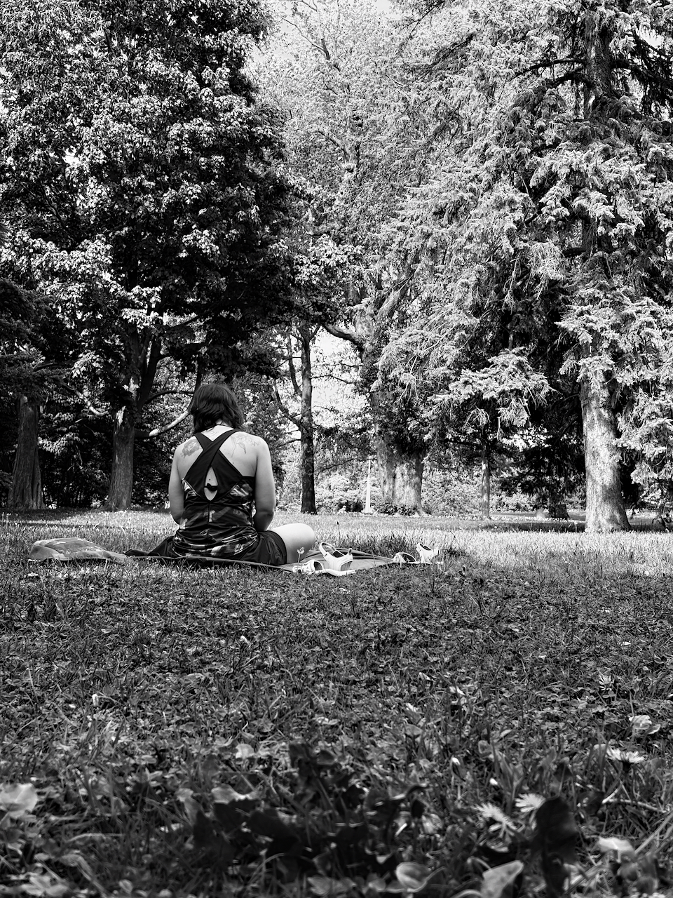 A person sitting in the park