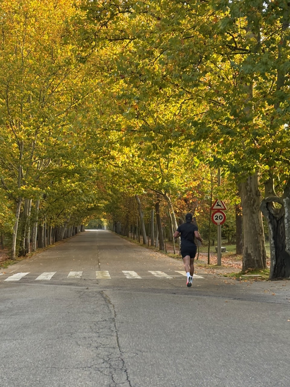 A person jogging on a tree-lined road with autumn foliage and a 20 km/h speed limit sign.