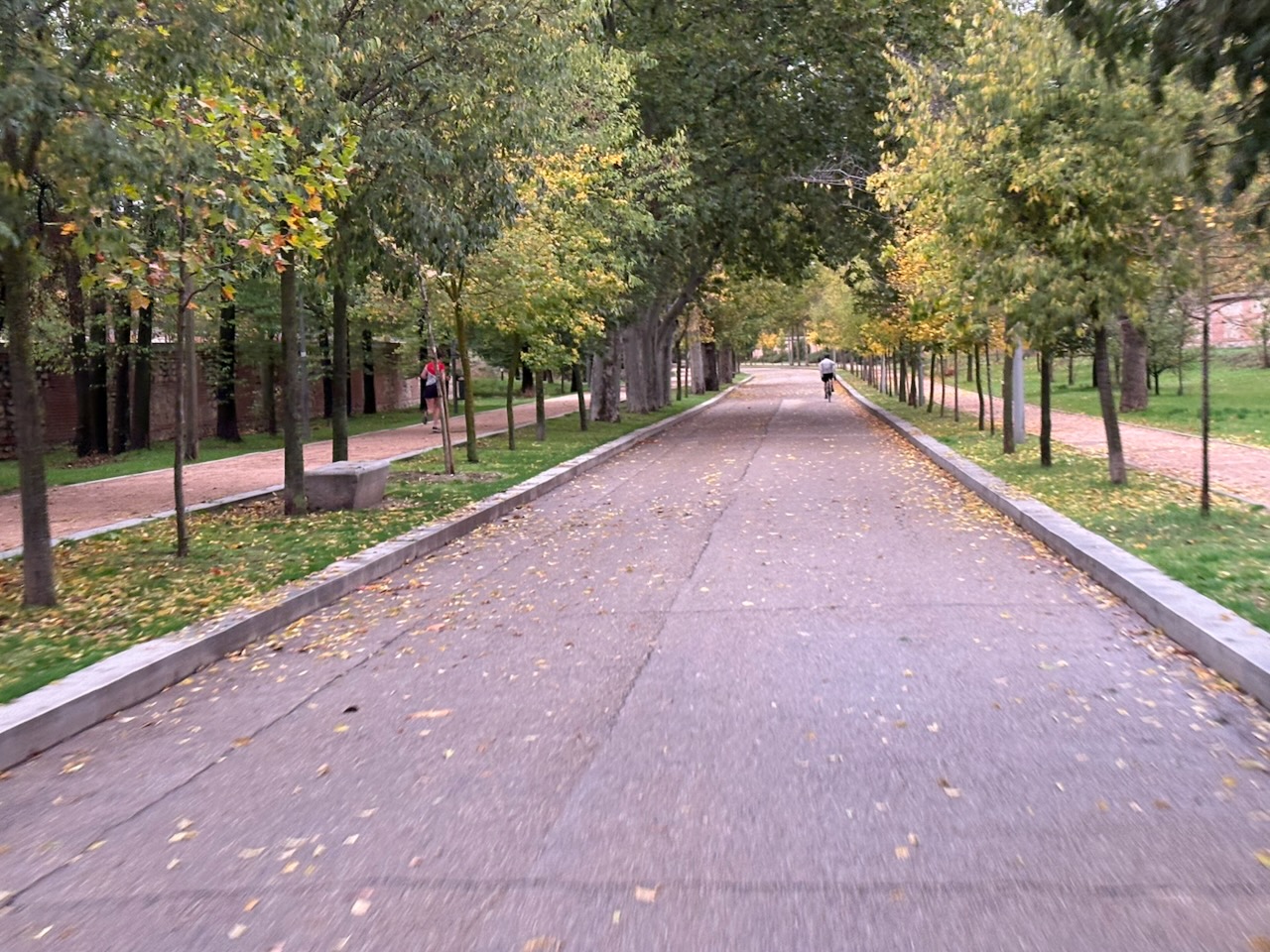 A tree-lined pathway with fallen leaves, two people walking, and a cyclist in the distance.