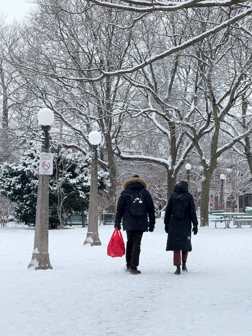 Dundonald Park, Jan 25 2025