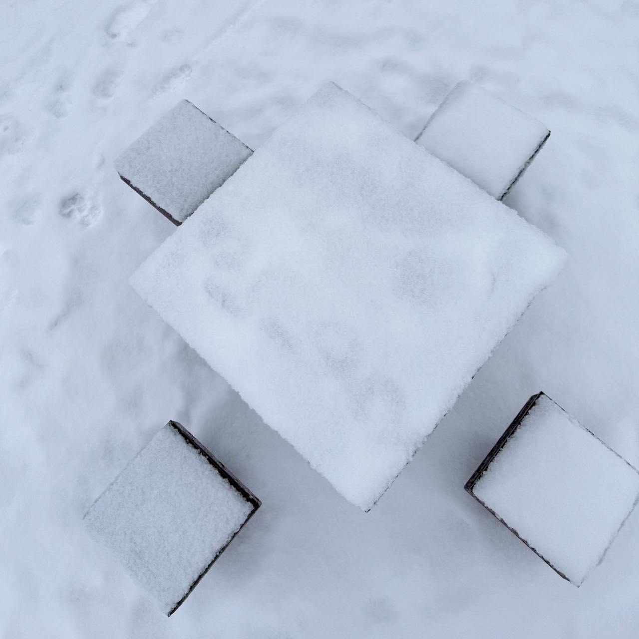 Dundonald Park, Jan 25 2025