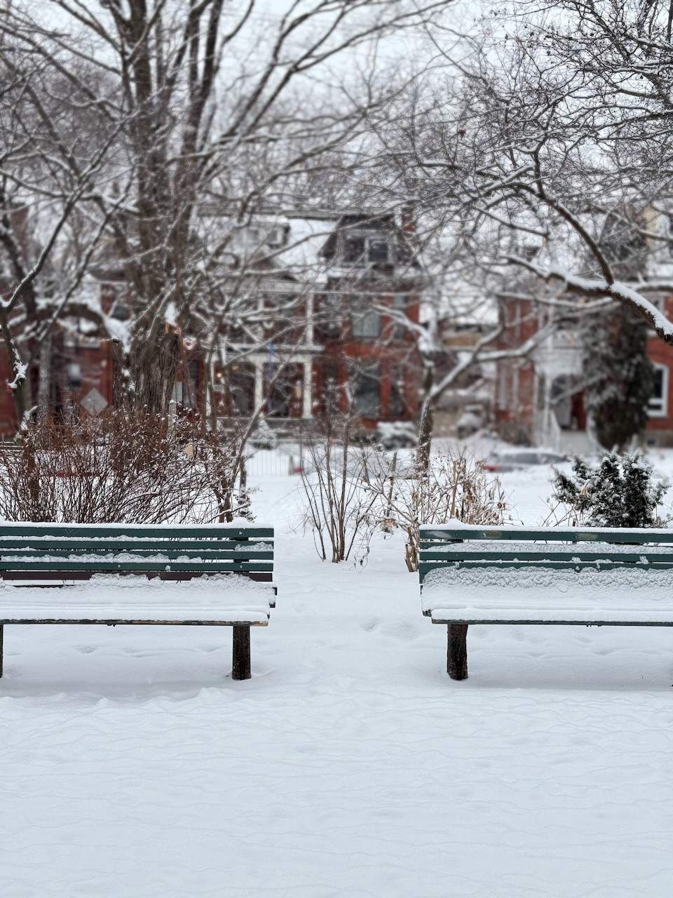 Dundonald Park, Jan 25 2025